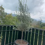 Frühstückspension Ca' D' Olina 3*