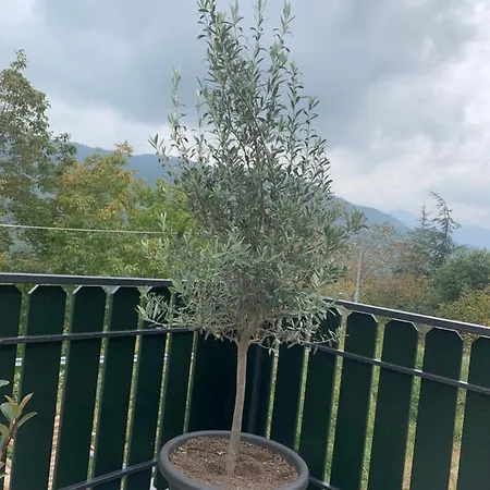 Frühstückspension Ca' D' Olina 3*