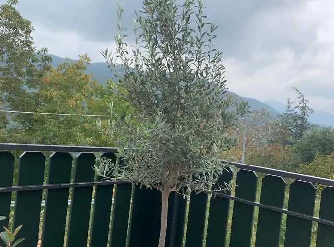 Oda ve Kahvaltı Ca' D' Olina 3*