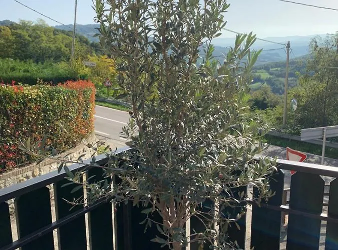 Bed & Breakfast Ca' D' Olina